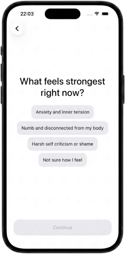 Screen asking which sensation feels strongest right now, with four answer options.