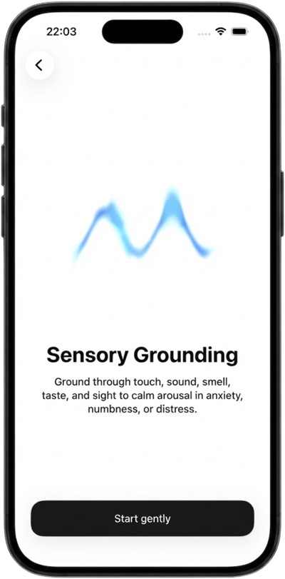 Sensory Grounding practice card with a description and a start button.