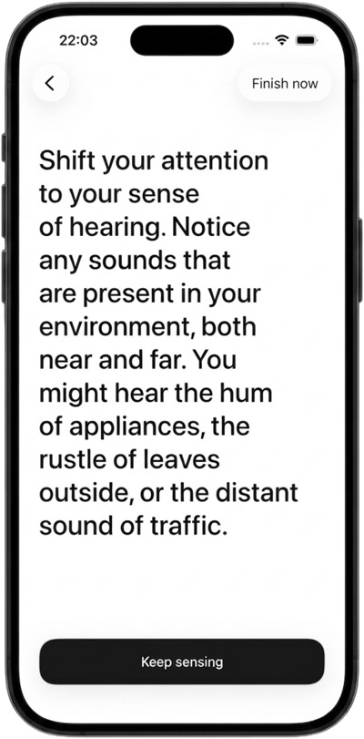 Practice step guiding attention to sounds in the surrounding environment.